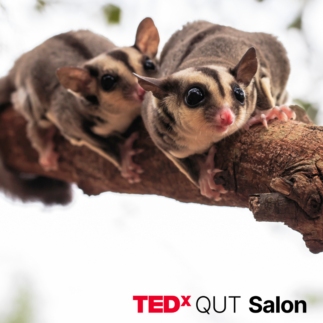 TEDxQUT Salon | World Wildlife Day | 2026
